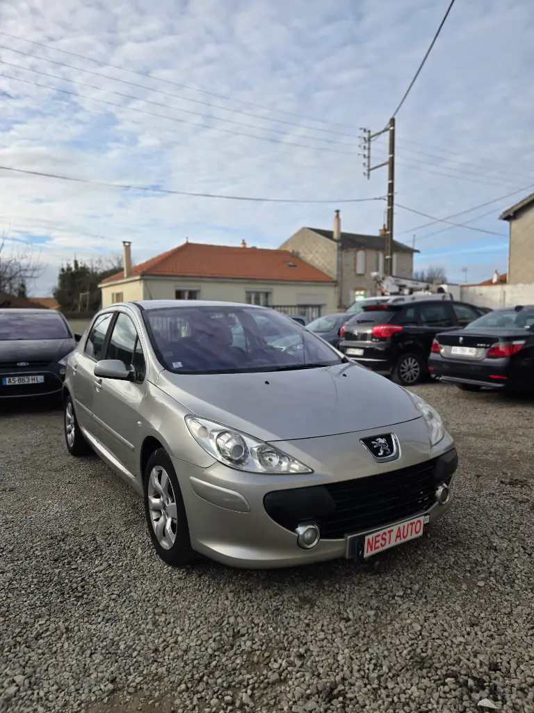 Peugeot 307 1.6l 110CV  (218000km)